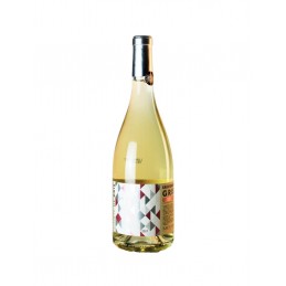Vin blanc Haut Poitou Pointe de Gris 2021